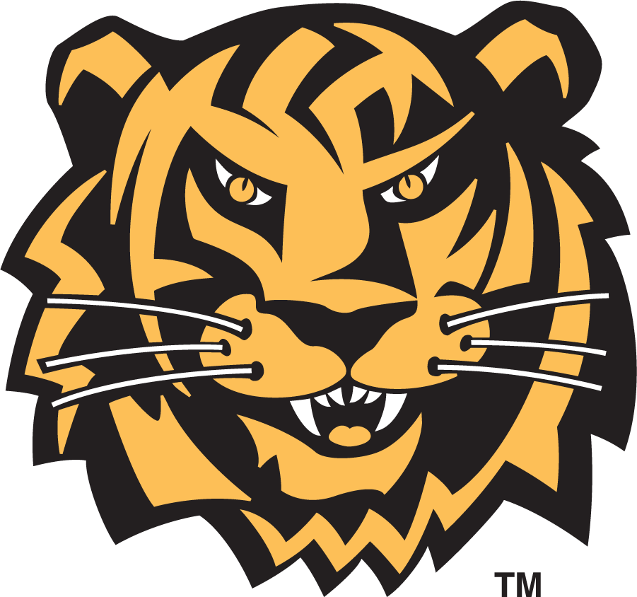 Towson Tigers 1995-2002 Secondary Logo iron on transfers for clothing